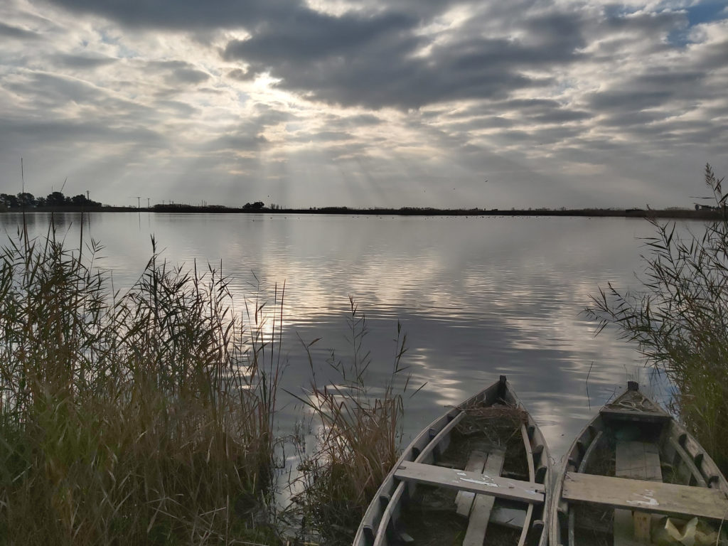 llacuna del delta